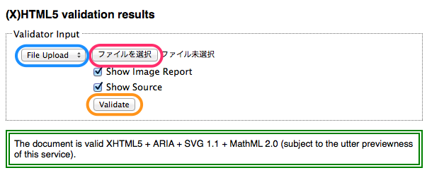 html5_validator