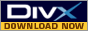 DivX: Download DivX Video